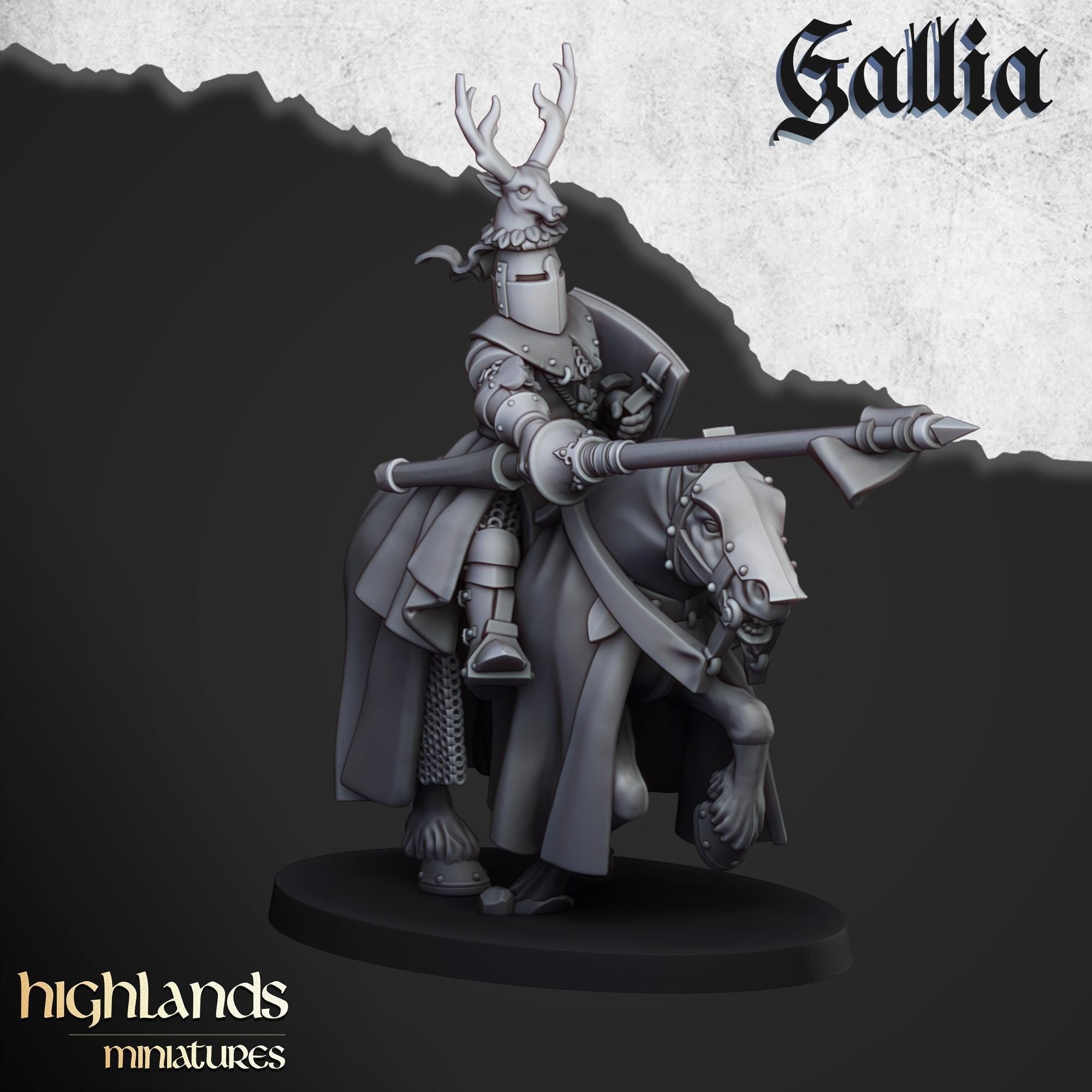 Knights of Gallia - in 12k- by Highlands Miniatures