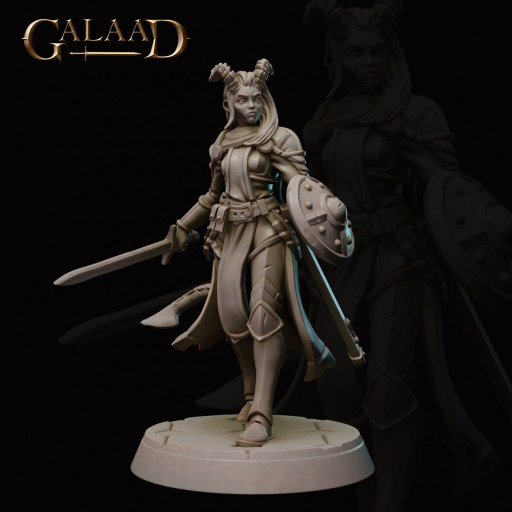 6 Model Pack - Knight Warband - in 8k - by Galaad