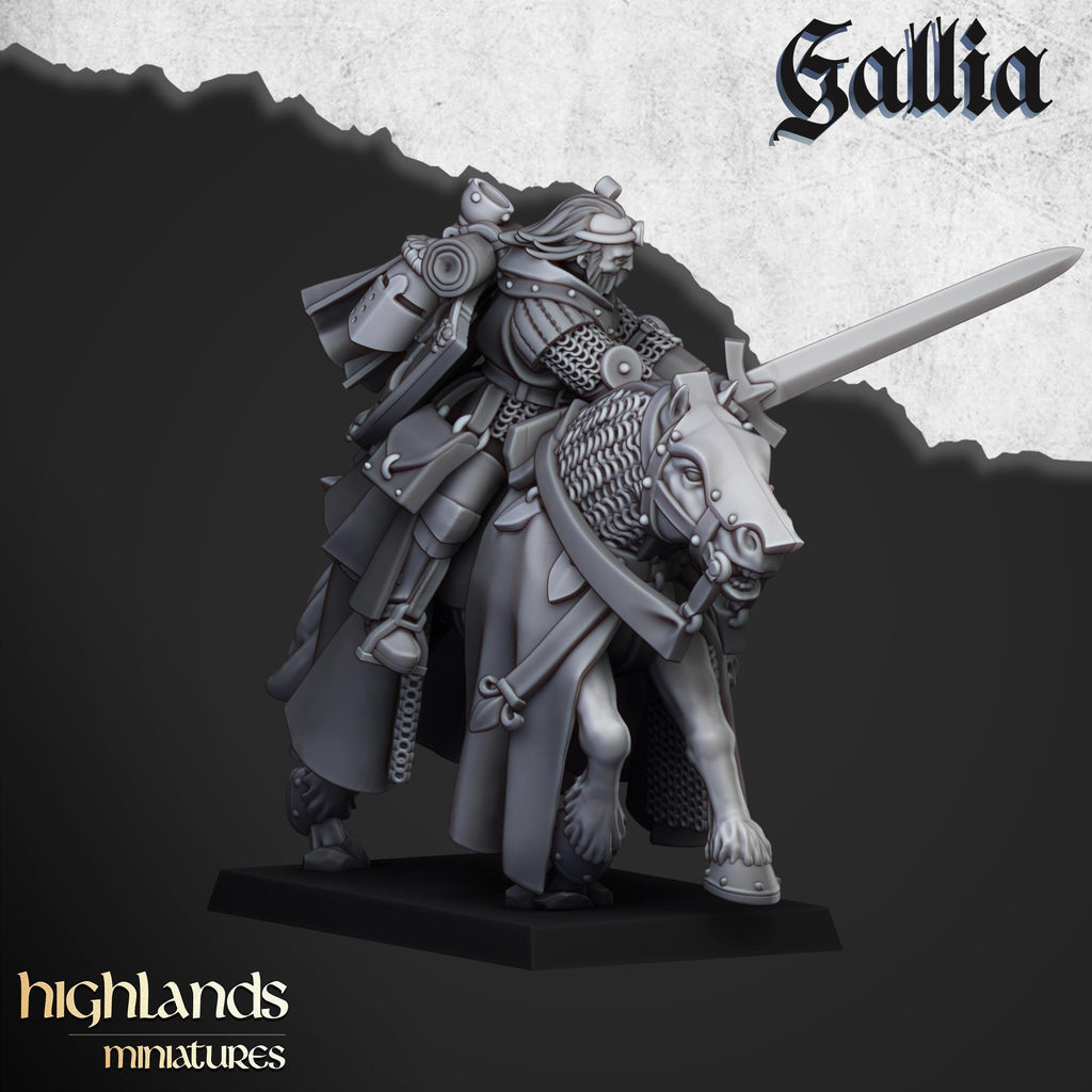 Questing Knights  - in 12k- by Highlands Miniatures