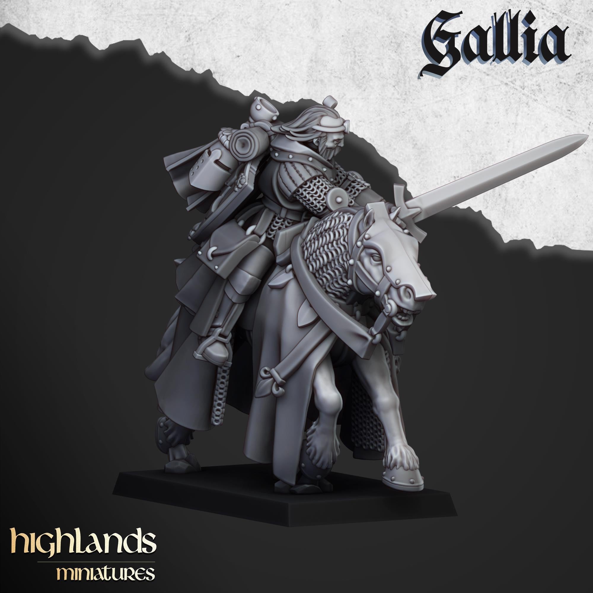 Questing Knights  - in 12k- by Highlands Miniatures