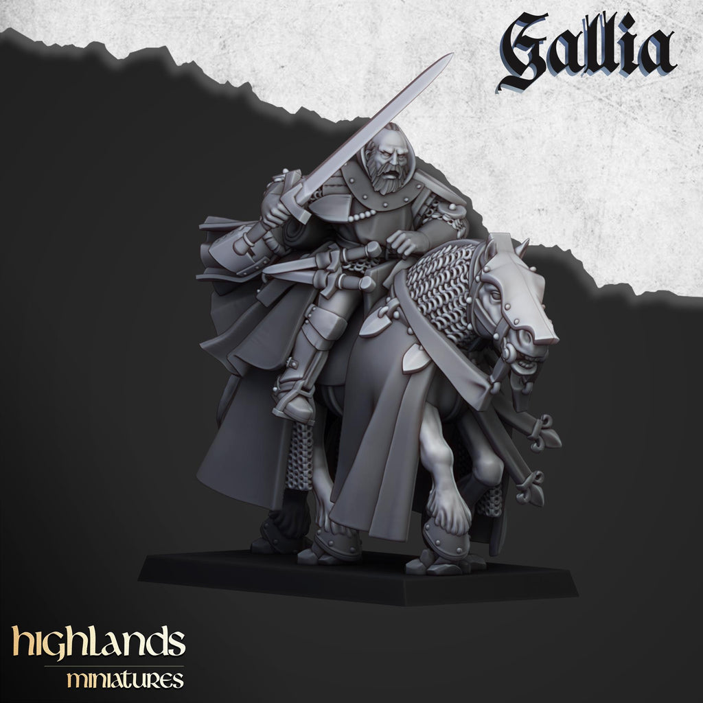 Questing Knights  - in 12k- by Highlands Miniatures