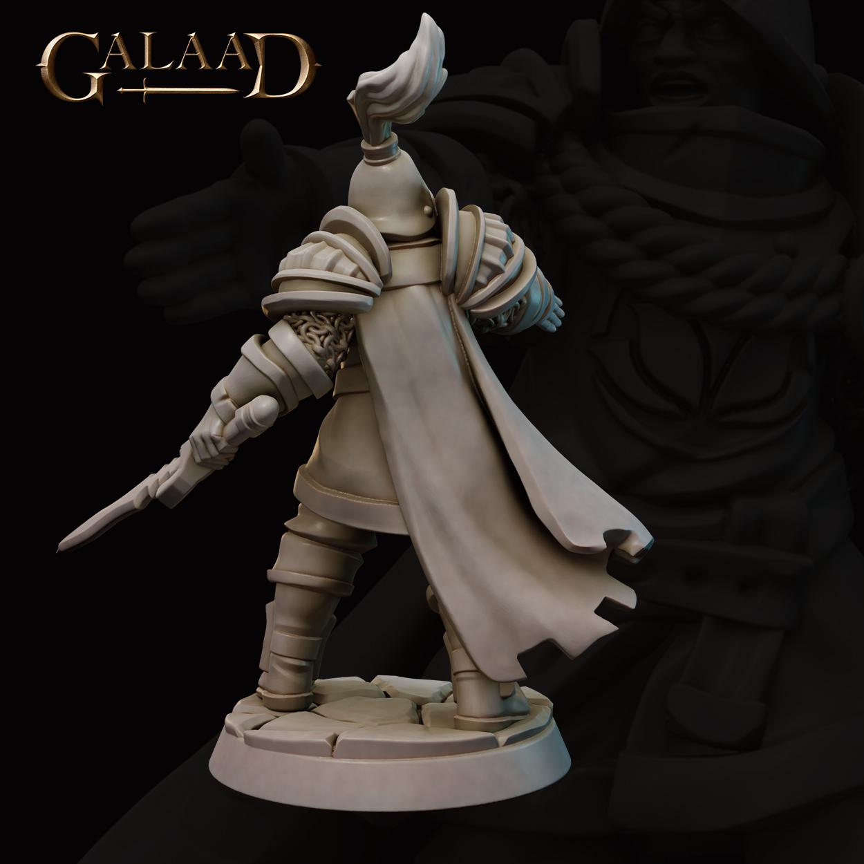Escort the Queen - 9 models - 12k resin - galaad