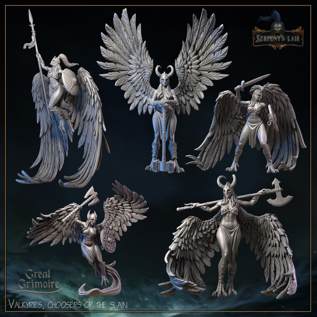 Grimoire Valkyries Miniatures, Choosers of the Slain, 12K Resin Prints