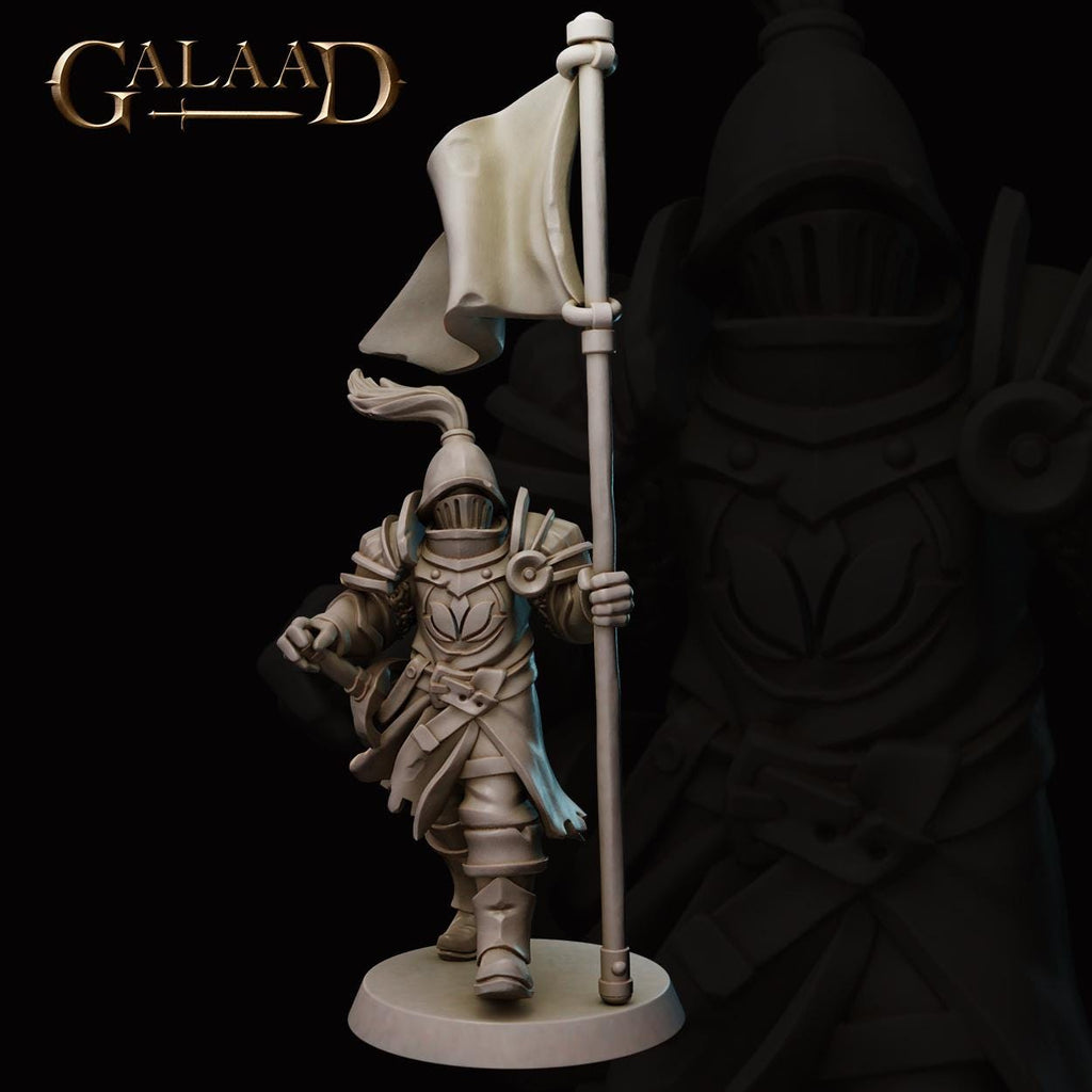 Escort the Queen - 9 models - 12k resin - galaad