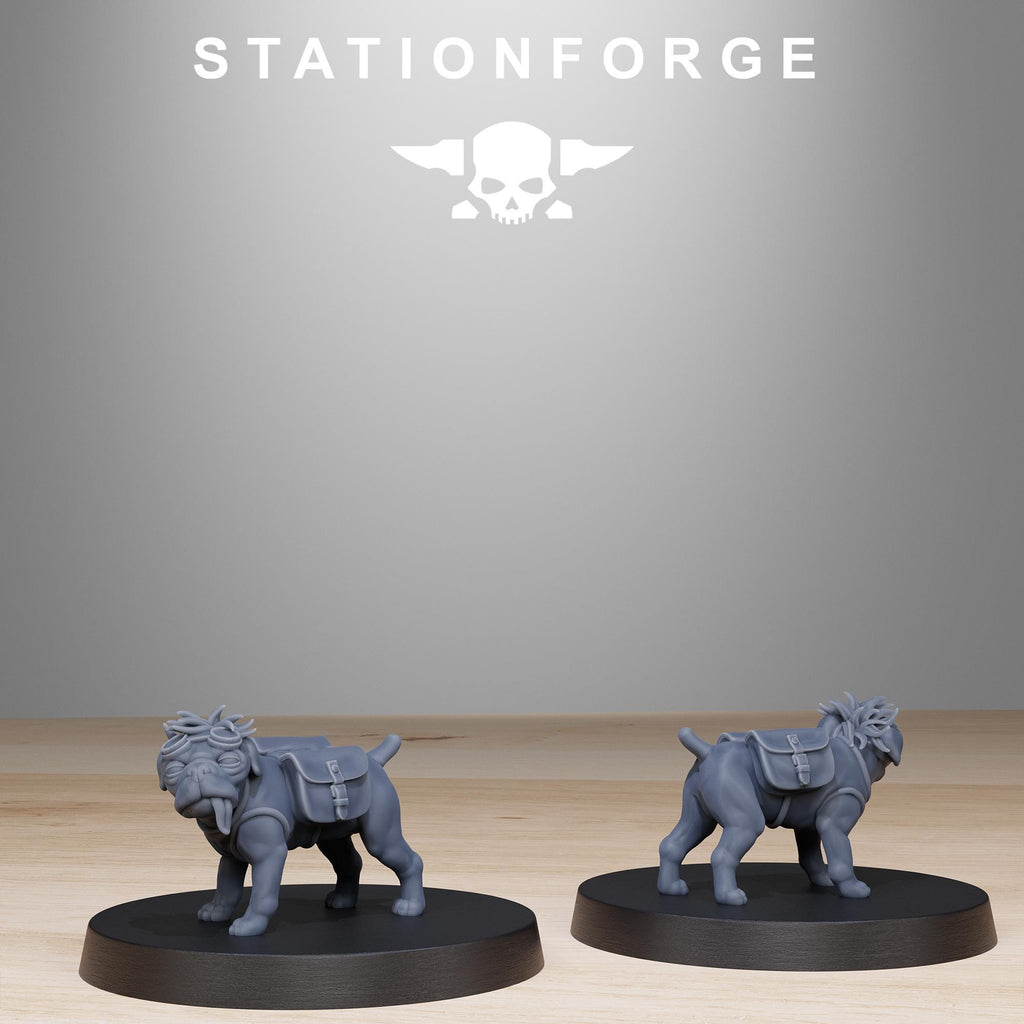 GrimGuard Skulldart Trappers 13 Models - in 12k - by Station Forge